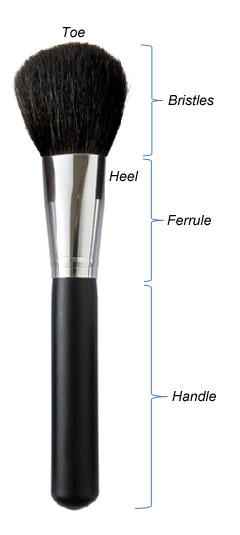 Makeup brush construction Makeup brush construction