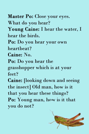 Want to be a makeup artist Grasshopper?